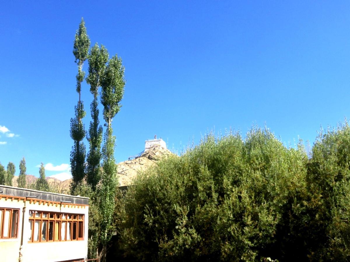 Hotel Abu Palace Leh Exterior photo